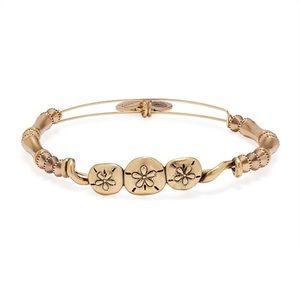 NWOT Alex and Ani Sand Dollar Horizontal Bangle
